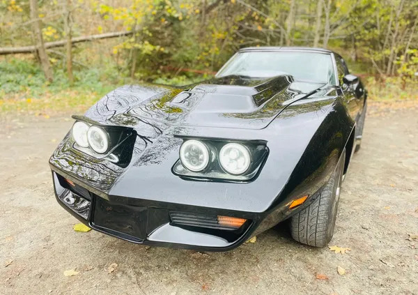 chevrolet małopolskie Chevrolet Corvette cena 82000 przebieg: 80000, rok produkcji 1977 z Kraków